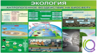 Стенд "Экология. Антропогенное воздействие на биосферу" - «globural.ru» - Алапаевск