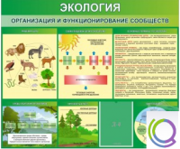 Стенд "Экология. Организация и функционирование сообществ" - «globural.ru» - Алапаевск