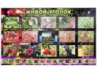 Комплект оборудования "Живой уголок" (растения) с тифлопереводом и сурдокомментариями - «globural.ru» - Алапаевск