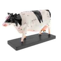 Электрифицированный макет коровы на каркасе - «globural.ru» - Алапаевск