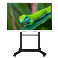 Интерактивный комплекс Geckotouch ​​​​​​​65RK - «globural.ru» - Алапаевск