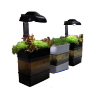 Учебная установка "Аквапоника"  - «globural.ru» - Алапаевск