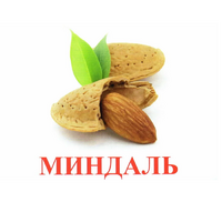 Карточки Домана "Орехи-Ягоды-2" - «globural.ru» - Алапаевск