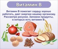 Стенд "Витамин В" - «globural.ru» - Алапаевск