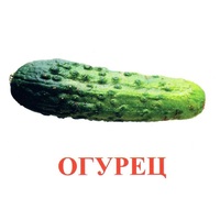Карточки Домана "Овощи-Зелень-1" - «globural.ru» - Алапаевск