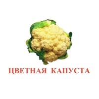 Карточки Домана "Овощи-Зелень-2" - «globural.ru» - Алапаевск