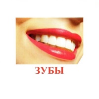 Карточки Домана "Части тела" - «globural.ru» - Алапаевск