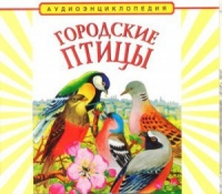 CD "Аудиоэнциклопедия. Городские птицы" - «globural.ru» - Алапаевск