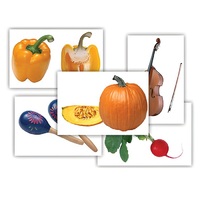 Набор предметных картинок "Овощи. Музыкальные инструменты" - «globural.ru» - Алапаевск