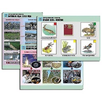 Комплект таблиц для  начальной школы "Окружающий мир. Экология" - «globural.ru» - Алапаевск