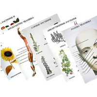 Таблицы по природоведению 1-3 класс - «globural.ru» - Алапаевск