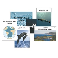 Модель-аппликация "Океаны. Знакомство" (ламинированная) - «globural.ru» - Алапаевск