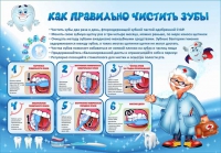 Стенд "Как правильно чистить зубы" - «globural.ru» - Алапаевск