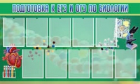 Стенд "Подготовка к ЕГЭ и ОГЭ по биологии" (вариант 2) - «globural.ru» - Алапаевск