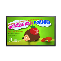 Интерактивная сенсорная панель 50" (UHD 4K) - «globural.ru» - Алапаевск