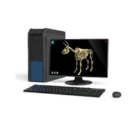 Макет масштабный «Скелет Коровы» Масштаб 1:2 - «globural.ru» - Алапаевск