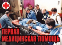 Комплект плакатов "Первая медицинская помощь" - «globural.ru» - Алапаевск
