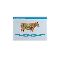 Стенд-планшет светодинамический "Изучение нервной системы сельскохозяйственных животных" со сменными панелями - «globural.ru» - Алапаевск