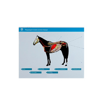 Стенд-планшет светодинамический "Изучение пищеварительной системы сельскохозяйственных животных" со сменными панелями - «globural.ru» - Алапаевск