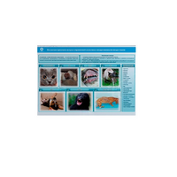 Стенд-планшет светодинамический «Острые отравления животных лекарственными препаратами» - «globural.ru» - Алапаевск