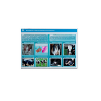 Стенд-планшет светодинамический «Изучение асептических и гнойных воспалительных процессов» - «globural.ru» - Алапаевск