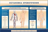 Электрифицированный стенд-тренажер "Остановка кровотечения" - «globural.ru» - Алапаевск