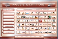 Трехсекционный базовый комплект "Травмы. Кровотечения. Ожоги" для учащихся общеобразовательных учреждений - «globural.ru» - Алапаевск