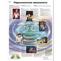 Плакат "Наркотическая зависимость", ламинированный, 50*67 см - «globural.ru» - Алапаевск