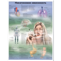 Плакат "Никотиновая зависимость", ламинированный, 50*67 см - «globural.ru» - Алапаевск