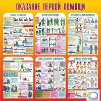 Стенд "Оказание первой помощи" - «globural.ru» - Алапаевск
