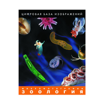 Зоология. Микрофотографии. (Цифровая база изображений) - «globural.ru» - Алапаевск