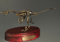 Модель скелета динозавра Velociraptor - «globural.ru» - Алапаевск