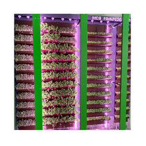 Вертикальная ферма "Моя Микрозелень" комплектация Школьная - «globural.ru» - Алапаевск