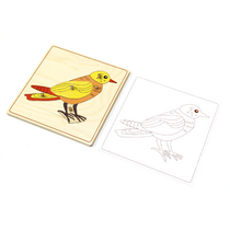 Строение птицы с контуром. - «globural.ru» - Алапаевск