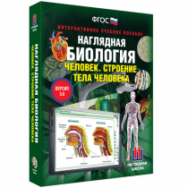 Наглядная биология. Человек. Строение тела человека - «globural.ru» - Алапаевск