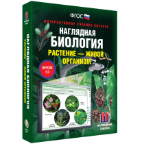Наглядная биология. Растение - живой организм - «globural.ru» - Алапаевск