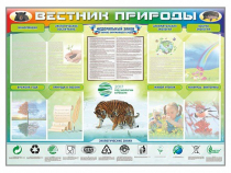 Стенд-уголок "Вестник природы" (вариант 1) - «globural.ru» - Алапаевск