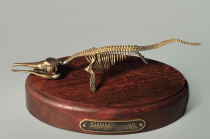 Модель скелета ихтиозавра Ichthyosaurus - «globural.ru» - Алапаевск