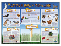 Стенд-уголок "Друзья наши меньшие" - «globural.ru» - Алапаевск