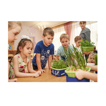 Обучающий комплект экологической направленности "Сити-фермер 2.0 Детский сад" 10 человек - «globural.ru» - Алапаевск