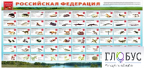 Стенд "Красная книга РФ" - «globural.ru» - Алапаевск
