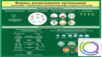 Стенд "Формы размножения организмов" - «globural.ru» - Алапаевск