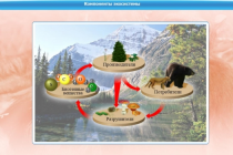 Интерактивные курсы. Биология 7 класс. Базовый - «globural.ru» - Алапаевск