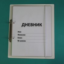 Дневник школьника (с полным набором карточек) - «globural.ru» - Алапаевск