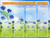 Стенд информационный с 7 карманами - «globural.ru» - Алапаевск