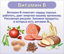 Стенд "Витамин В" - «globural.ru» - Алапаевск