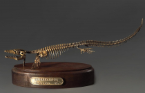 Модель скелета мозазавра Mosasaurus - «globural.ru» - Алапаевск