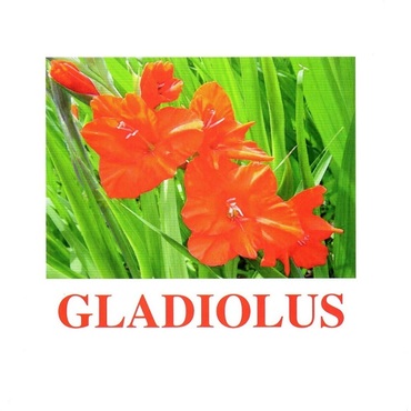 "Flowers-1" ("Цветы-1") английские карточки Домана - «globural.ru» - Алапаевск