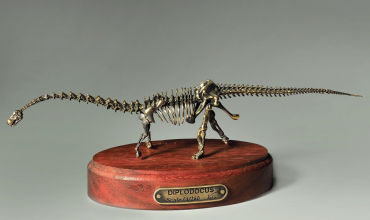 Модель скелета динозавра Diplodocus  (вариант 2) - «globural.ru» - Алапаевск