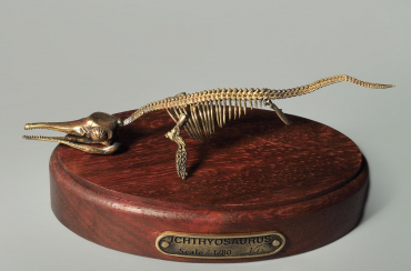 Модель скелета ихтиозавра Ichthyosaurus - «globural.ru» - Алапаевск